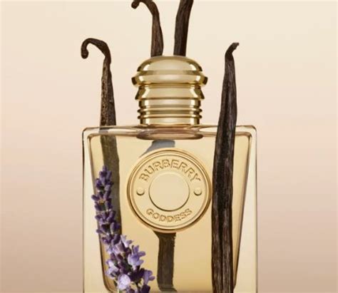 perfume burberry feminino duty free